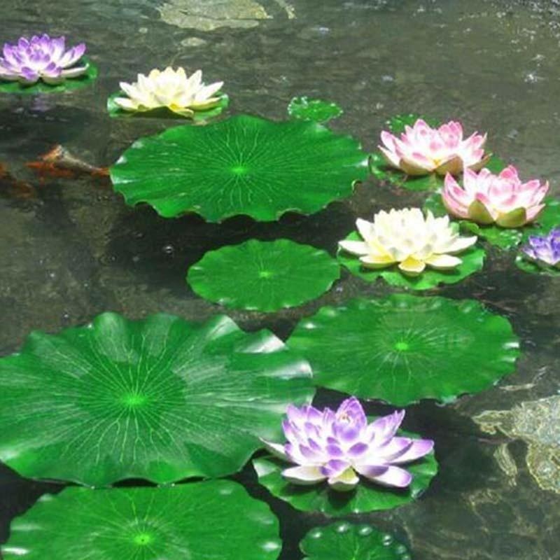 2026 Artificial Water Lily Lot - đánh giá và giá Marine Fish Tank