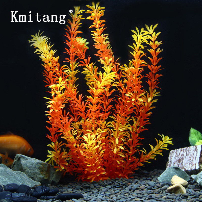 100Cm Thực Vật Nhiệt Đới Lớn N - đánh giá và giá Marine Fish Tank