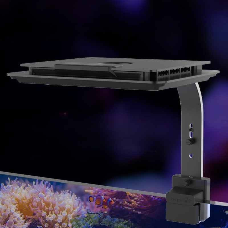 LED Seawater Light Smart Tempe - đánh giá và giá Reef Lighting