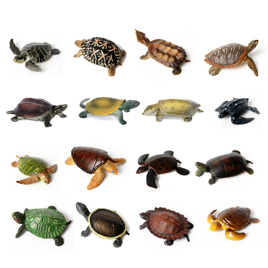 Thực Tế Bức Tiểu Họa Sinh Vật  - đánh giá và giá Marine Fish Tank